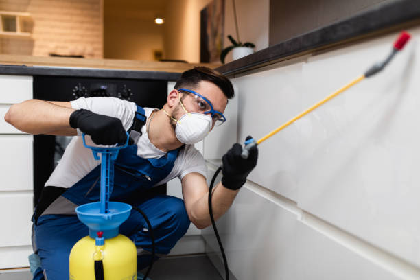 Best Ant Control Services  in Lordstown, OH