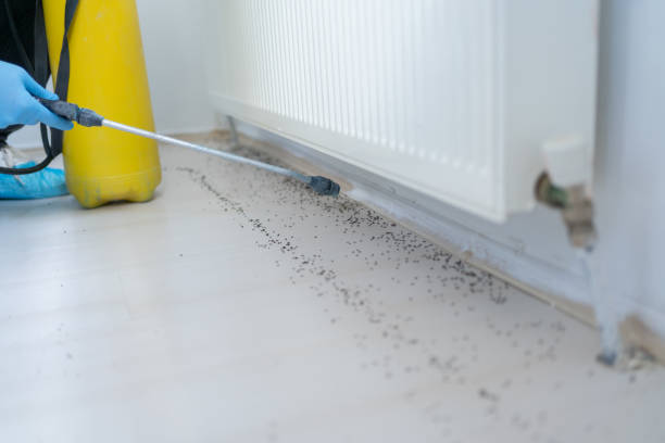 Best Pest Control for Restaurants  in Lordstown, OH