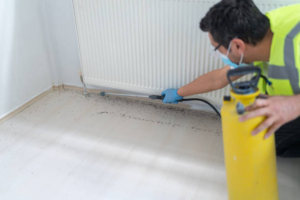 Best Mosquito Control Services  in Lordstown, OH