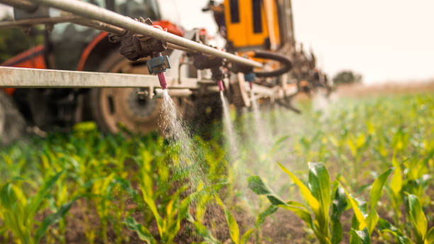 Professional Pest Control in Lordstown, OH