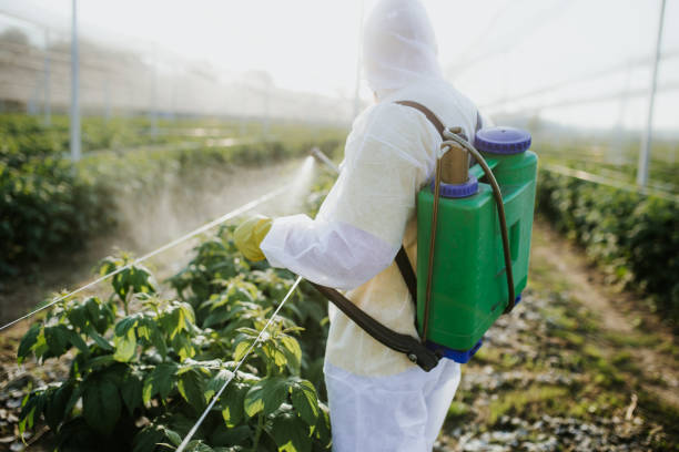 Best Pest Control Near Me  in Lordstown, OH